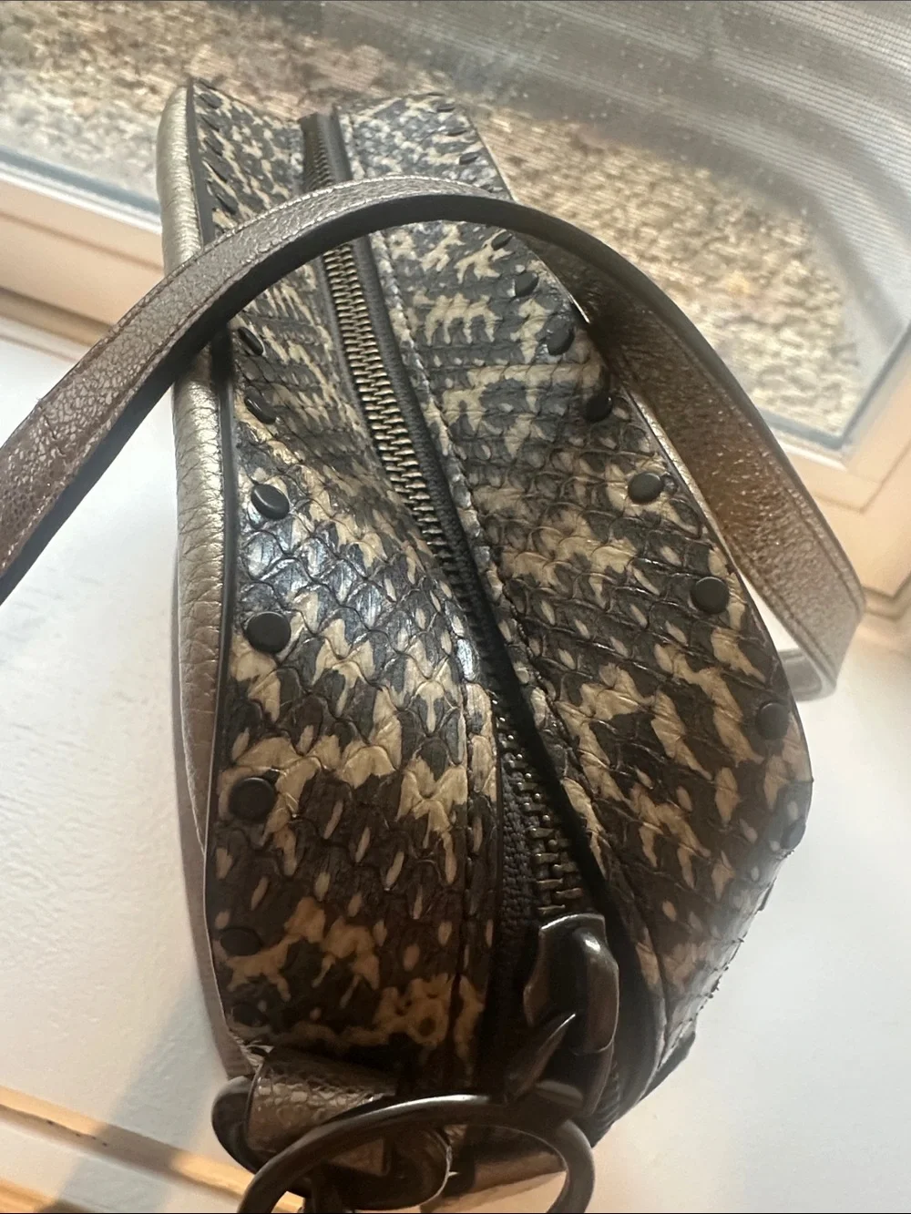 Camera Bag in Signature Canvas with Snakeskin Detail